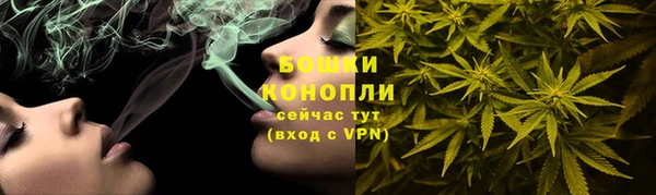 стафф Зеленокумск