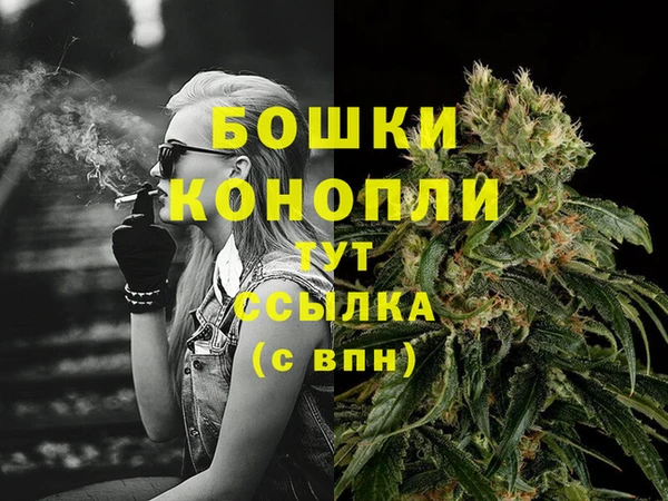 стафф Зеленокумск