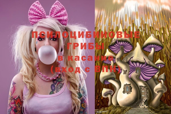 бошки Зеленодольск