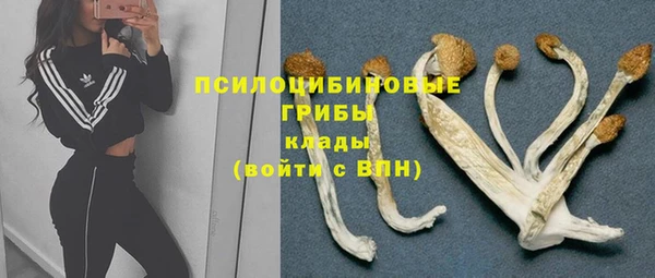 стафф Зеленокумск