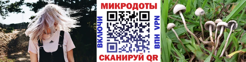 Купить где  Гдов  Псилоцибиновые грибы GOLDEN TEACHER 