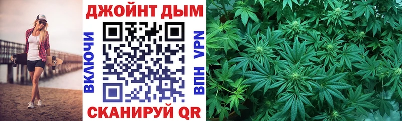 Купить закладки  Гдов  Бошки марихуана конопля 